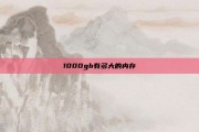 1000gb有多大的内存