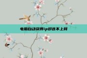 电脑自动获得ip却连不上网