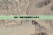 现在一般的主播用的什么声卡