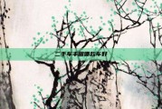 二手车丰田哪款车好