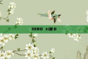 1080 ti显卡