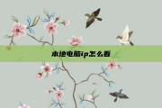 本地电脑ip怎么看