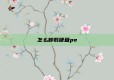 怎么卸载硬盘pe