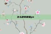 怎么卸载硬盘pe