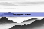 显示器面板什么的好