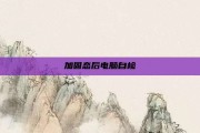 加固态后电脑自检