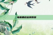 电脑重启蓝屏原因
