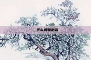 二手车如何防盗