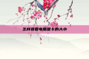 怎样查看电脑显卡的大小