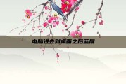 电脑进去到桌面之后蓝屏