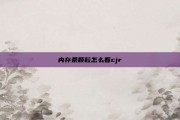 内存条颗粒怎么看cjr