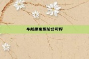 车险哪家保险公司好