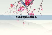 企业年金指的是什么