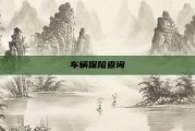车辆保险查询