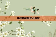 分好的硬盘怎么还原