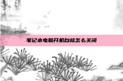 笔记本电脑开机自检怎么关闭