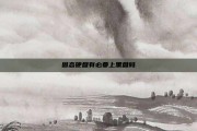 固态硬盘有必要上黑盘吗