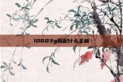 10603g搭配什么主板