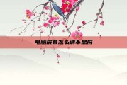 电脑屏幕怎么调不息屏