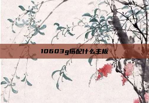 10603g搭配什么主板