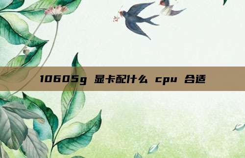 10605g 显卡配什么 cpu 合适