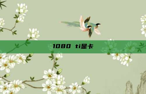 1080 ti显卡