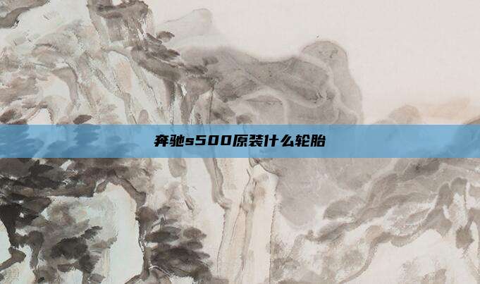 奔驰s500原装什么轮胎