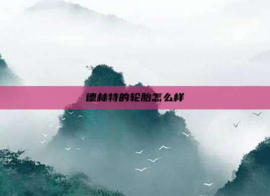 德林特的轮胎怎么样