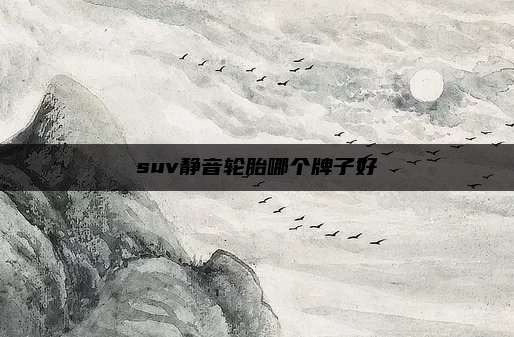 suv静音轮胎哪个牌子好