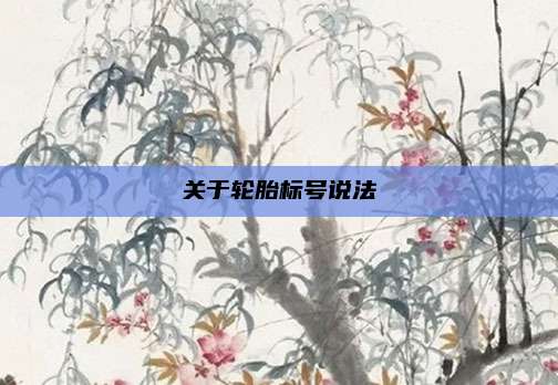 关于轮胎标号说法