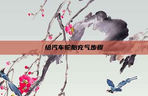 给汽车轮胎充气步骤