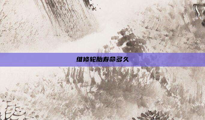 维修轮胎寿命多久