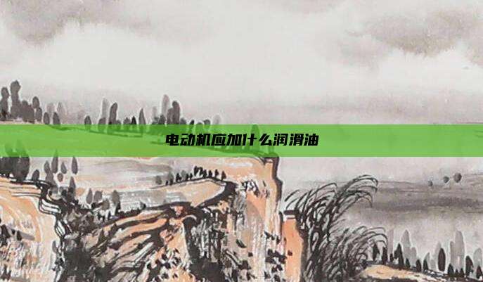 电动机应加什么润滑油