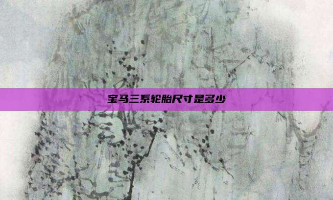 宝马三系轮胎尺寸是多少