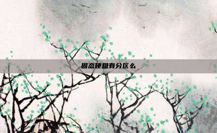 固态硬盘有分区么