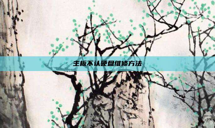 主板不认硬盘维修方法