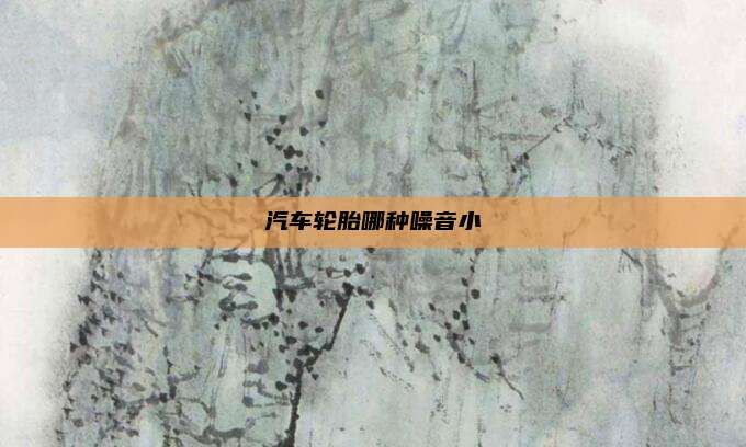 汽车轮胎哪种噪音小