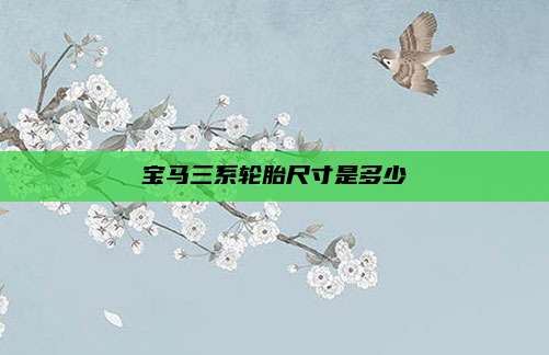 宝马三系轮胎尺寸是多少