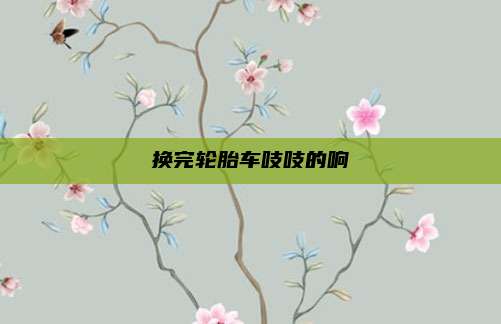 换完轮胎车吱吱的响