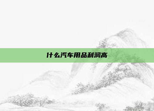 什么汽车用品利润高
