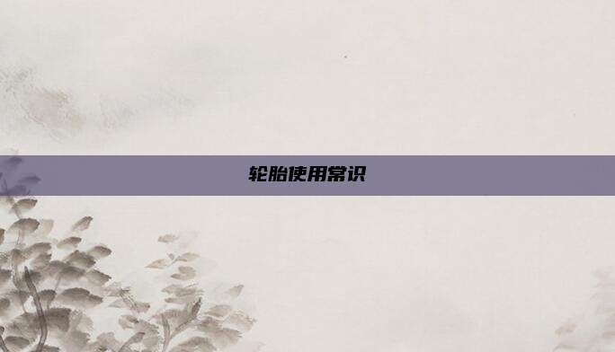 轮胎使用常识