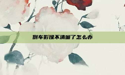 倒车影像不清晰了怎么办
