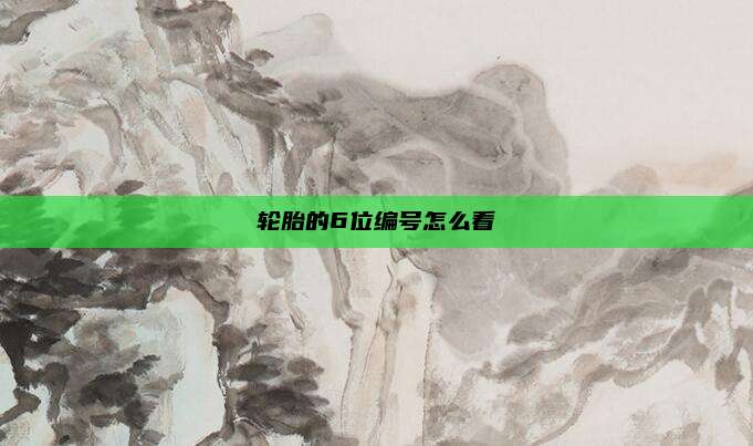 轮胎的6位编号怎么看