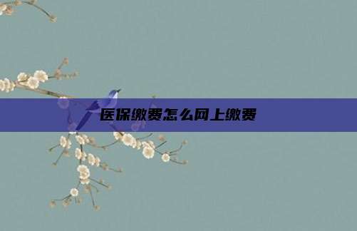 医保缴费怎么网上缴费