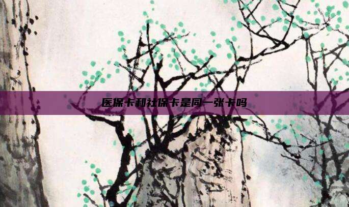 医保卡和社保卡是同一张卡吗