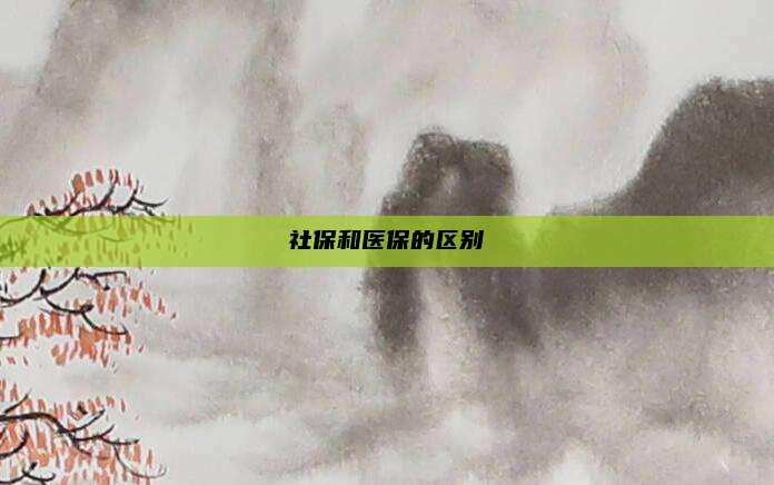 社保和医保的区别