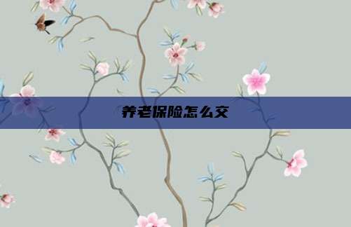养老保险怎么交