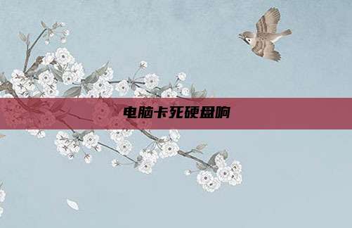 电脑卡死硬盘响