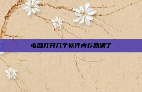 电脑打开几个软件内存就满了