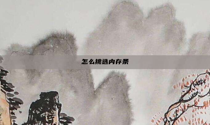 怎么挑选内存条